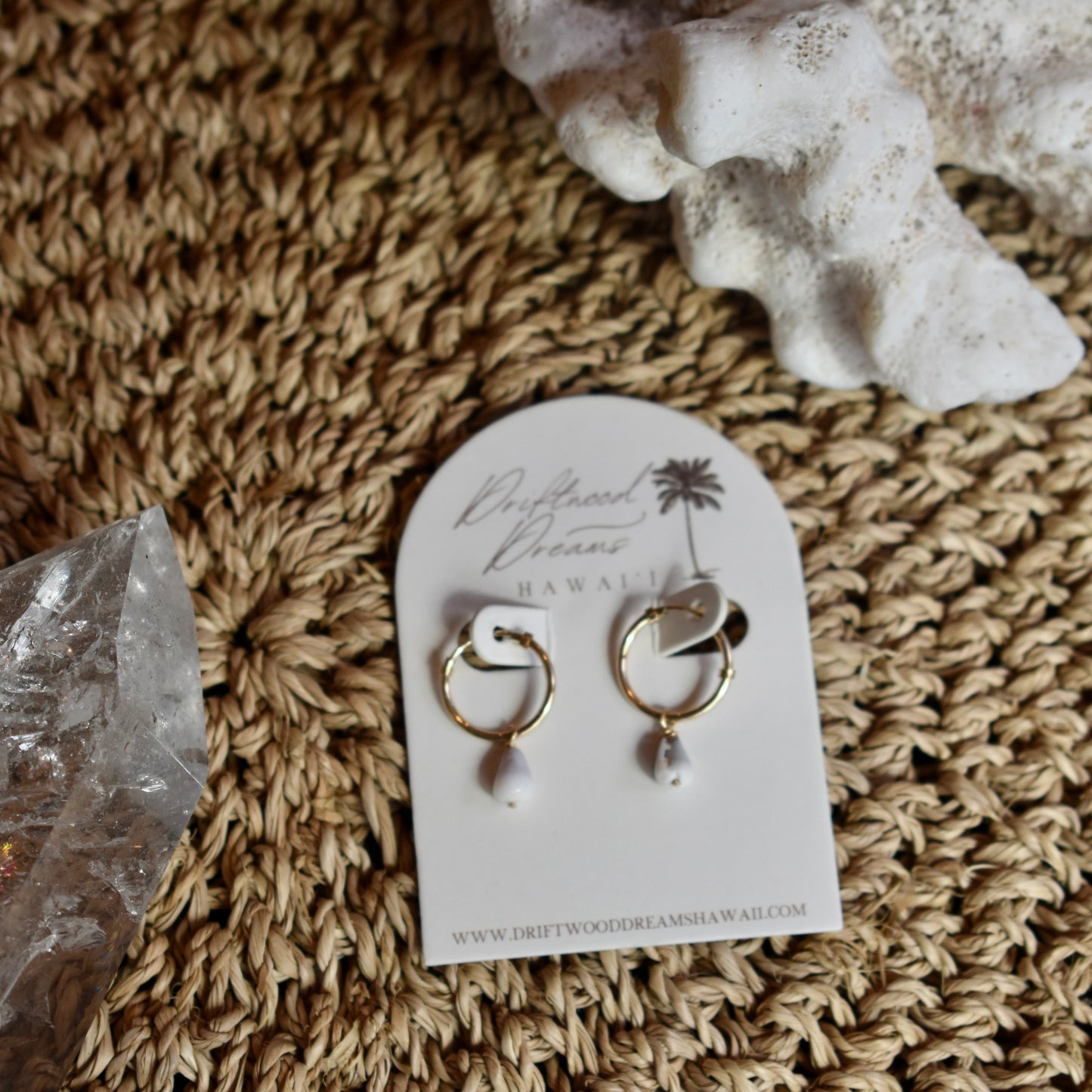 Delicate Cone Shell Hoops