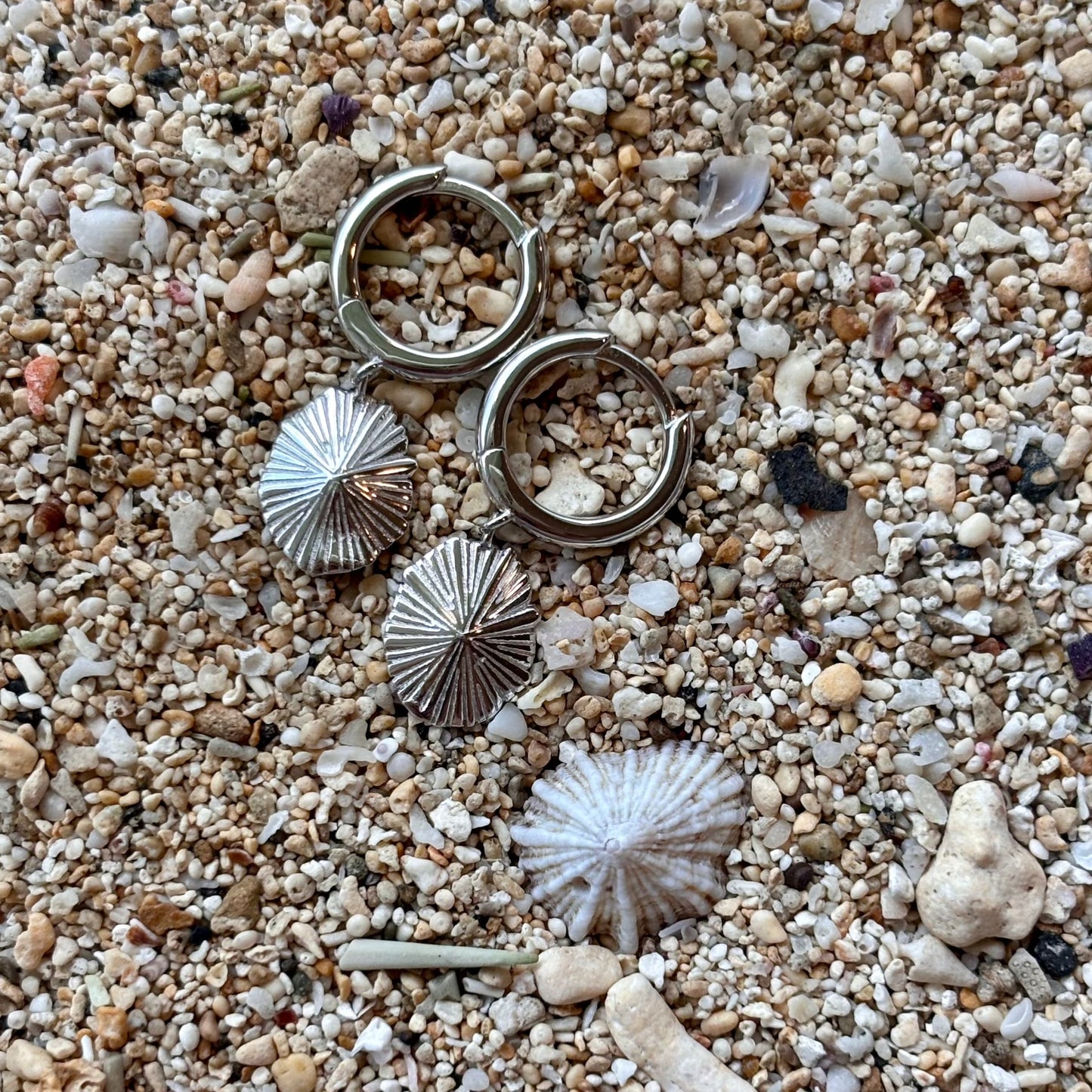 Sterling Silver 'Opihi Shell Huggies