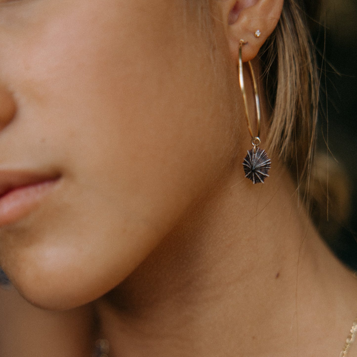 'Opihi Shell Thin Hoops - Gold