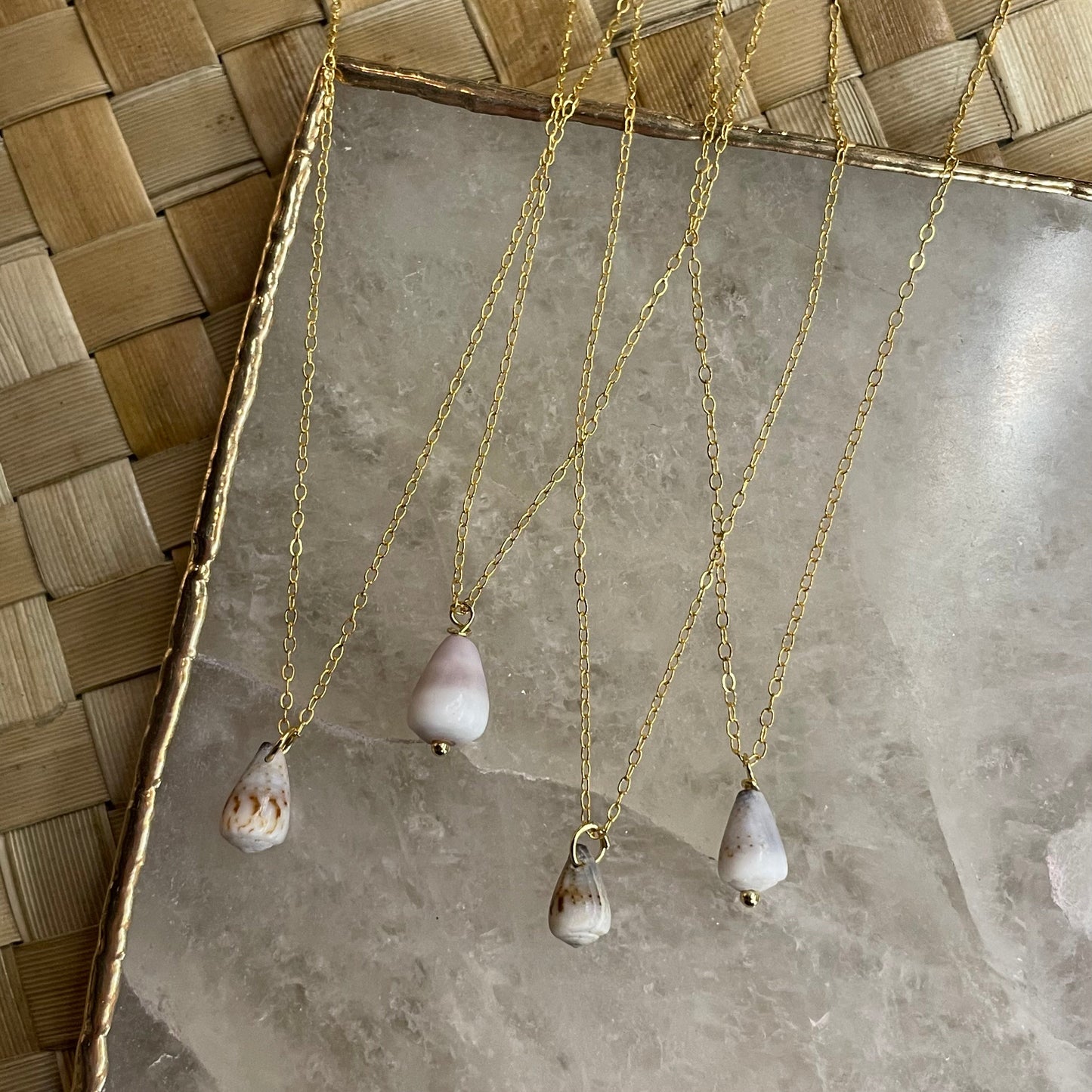 Dainty Cone Shell Necklace