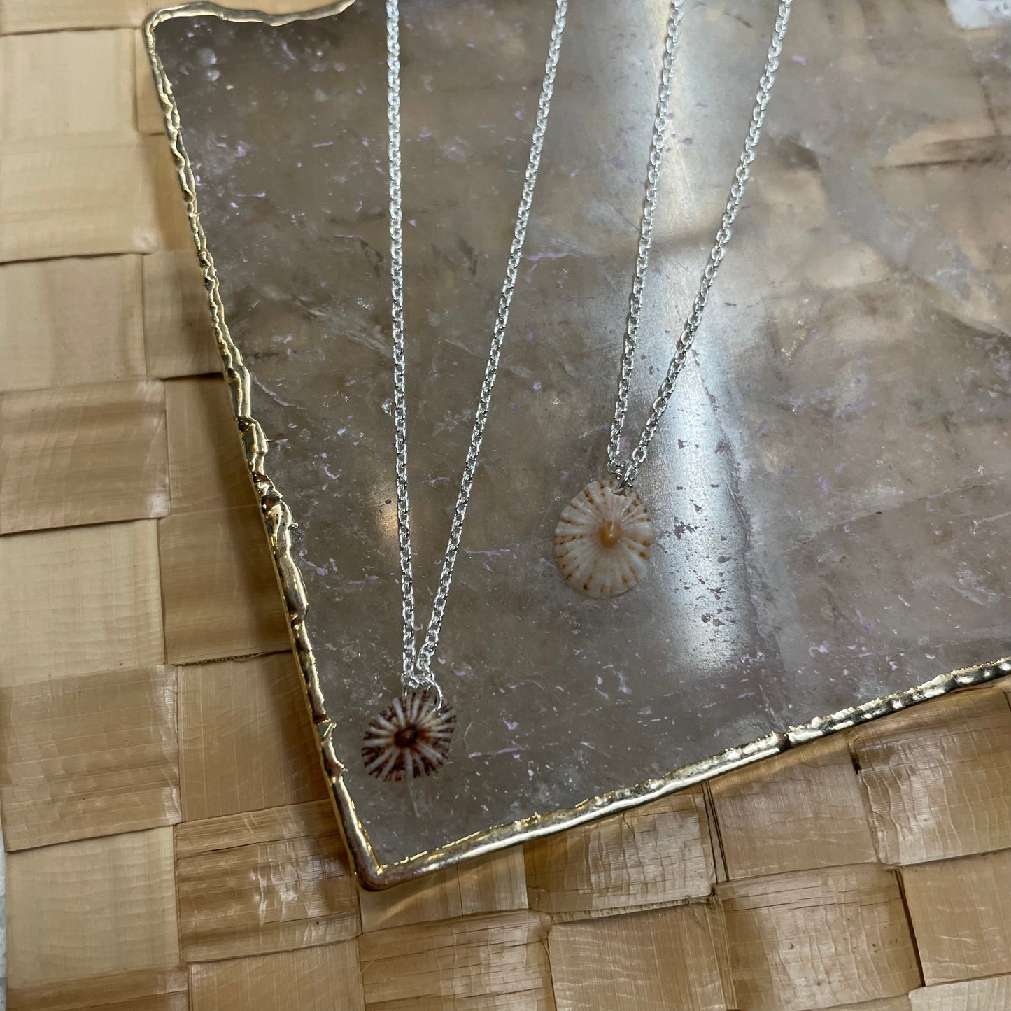 Dainty 'Opihi Shell Necklace - Silver
