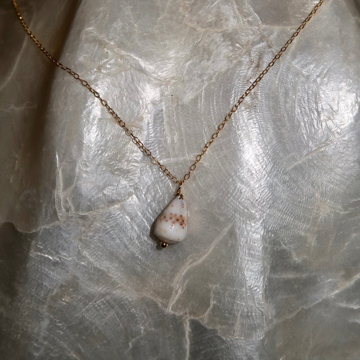 Dainty Cone Shell Necklace