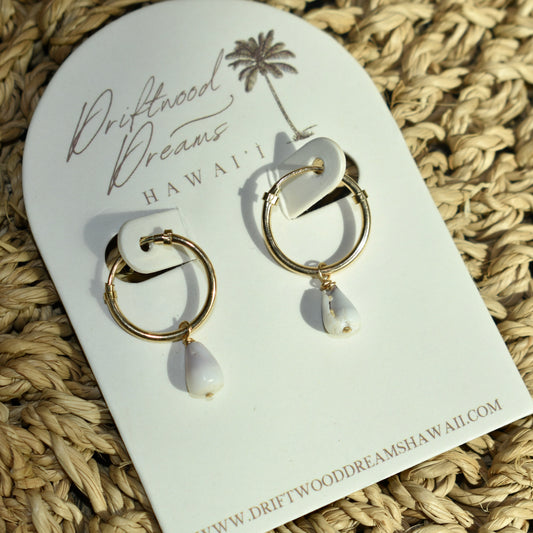 Delicate Cone Shell Hoops