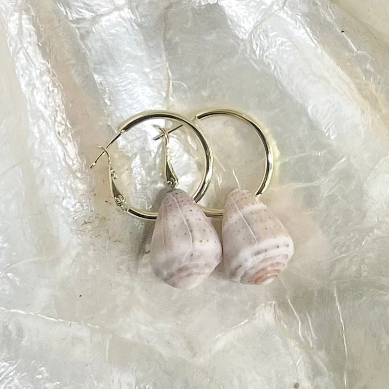 Chunky Cone Shell Hoops