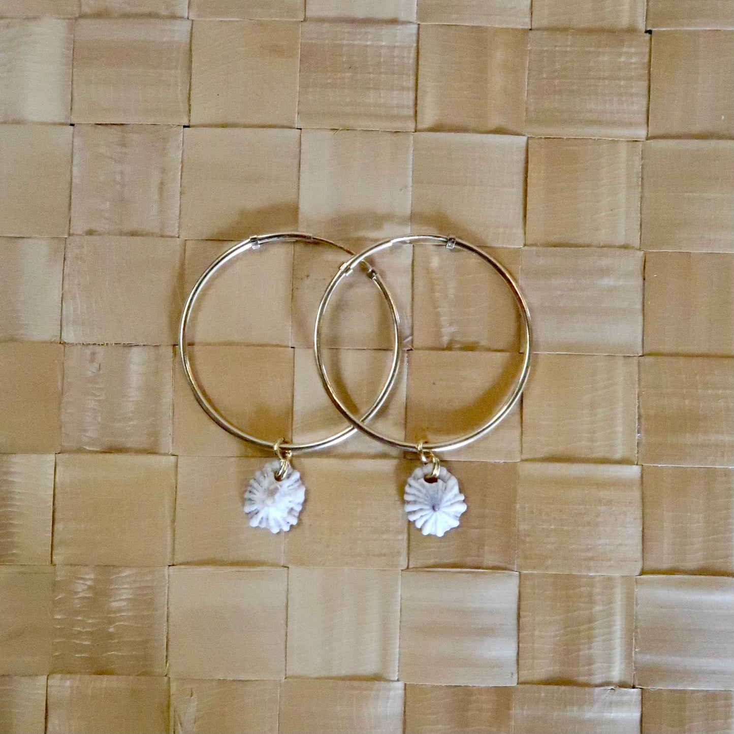 'Opihi Shell Thin Hoops - Gold