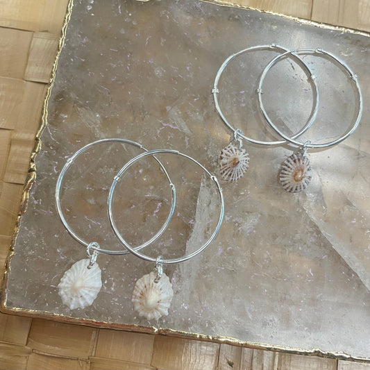 'Opihi Shell Thin Hoops - Silver